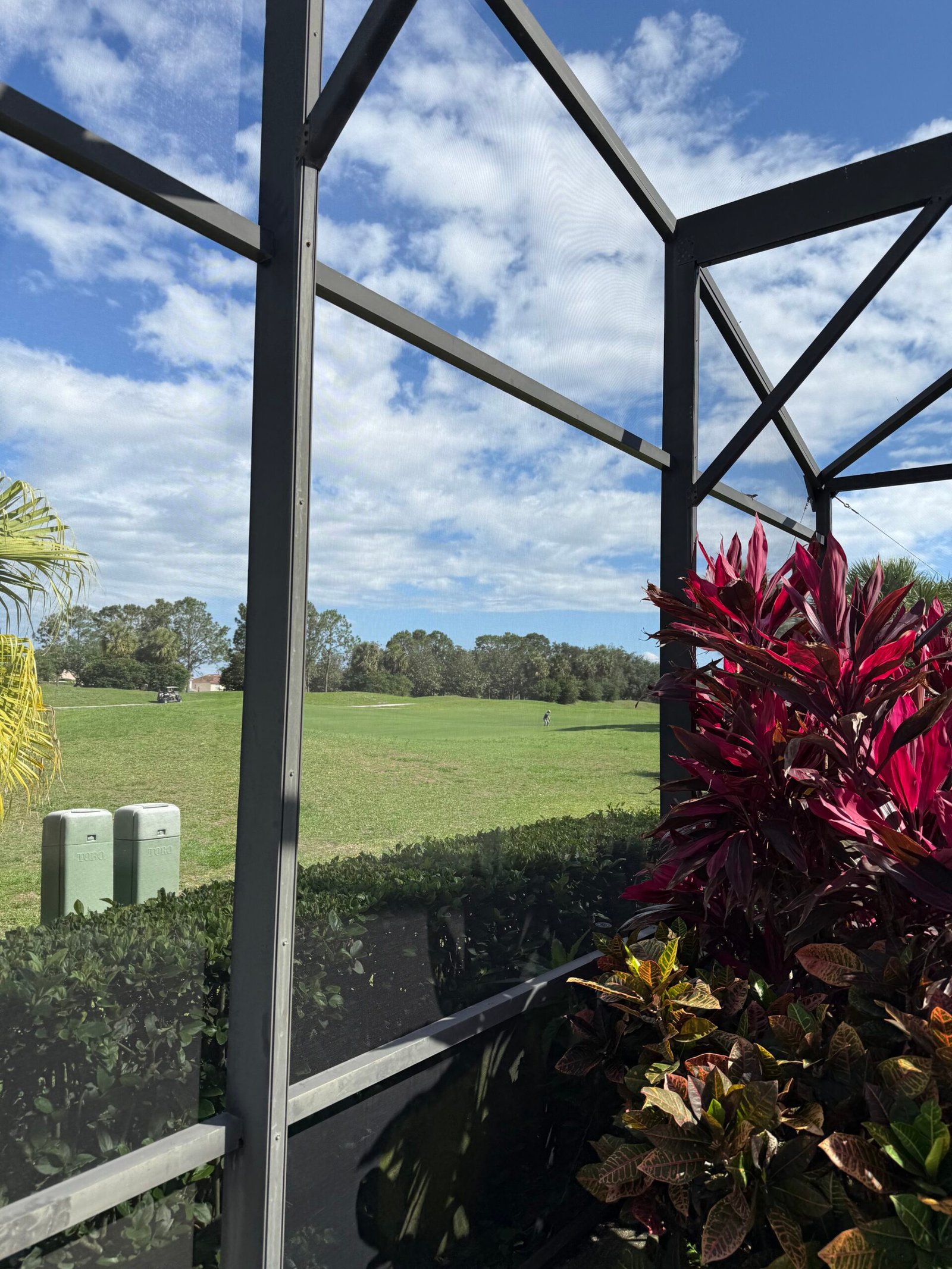 backyard pool screen enclosure